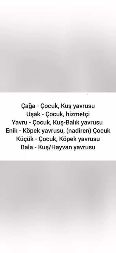 &Ccedil;ocuk s&ouml;zc&uuml;ğ&uuml;ne karşı &ccedil;ıkan zat-ı şerife yanıt