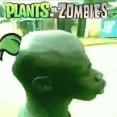 Pea Shooter