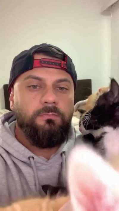 You are not sad, you need one meow.