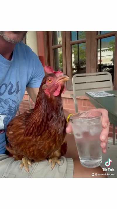 Ice water is the best water