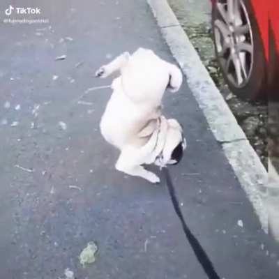 Special Talent.mp4