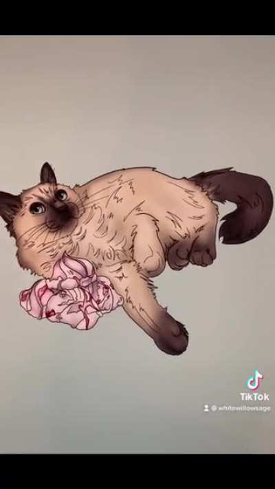 I joined TikTok to laugh at shit videos. Then I started making my own. Here&rsquo;s my cat with different desserts