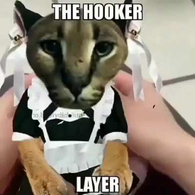 Floppa