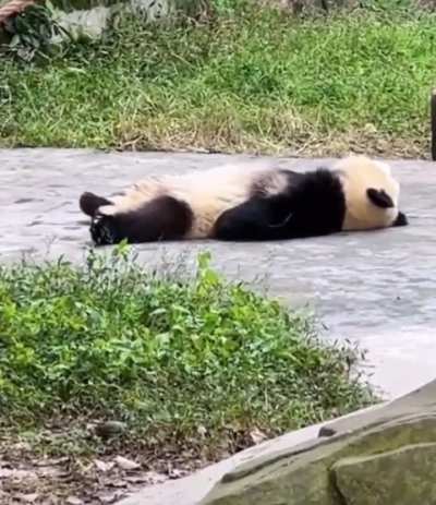 Mood