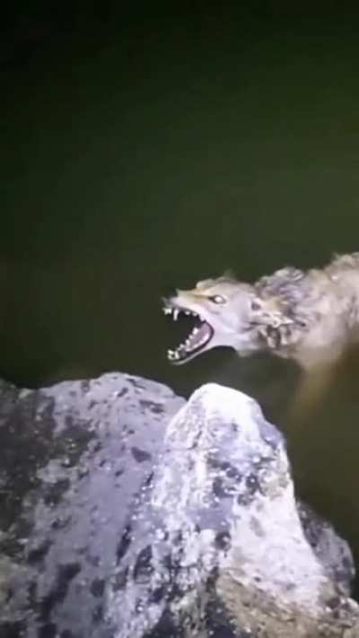 >:V