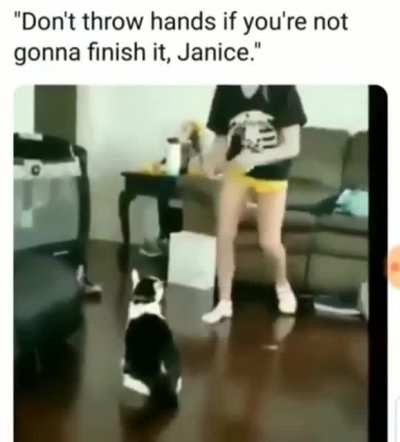 Cat gets justice