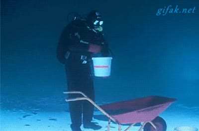 Diver walking upside down under the ice.