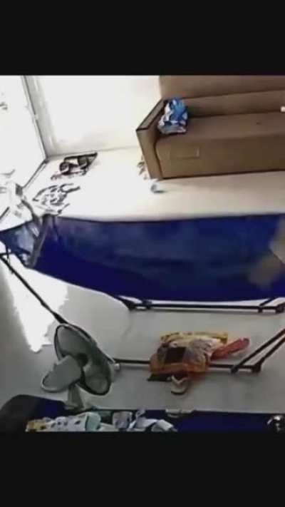 snek