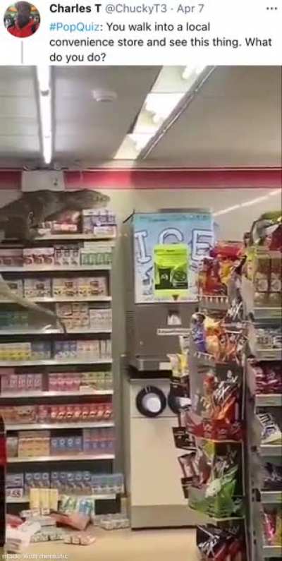 I&rsquo;d panic.