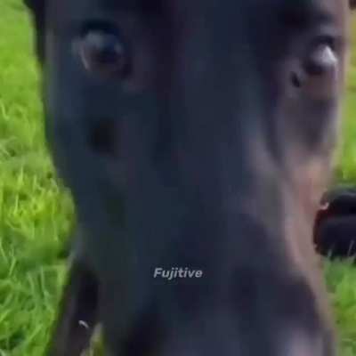 🤨