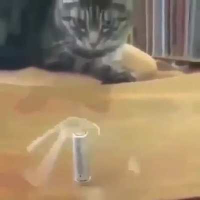 As leis da f&iacute;sica