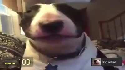 Chupala