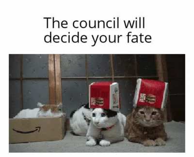 The All-knowing Miau lords