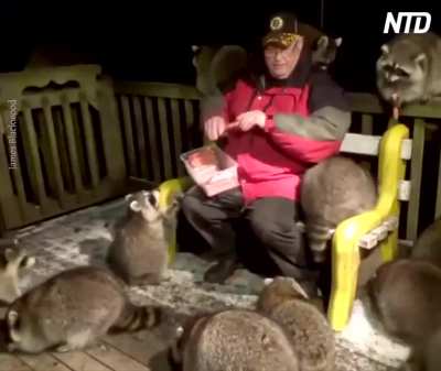 James &ldquo;Raccoon Whisperer&rdquo; Blackwood has been feeding raccoons on his porch for 21 years. This year, more have shown up.
