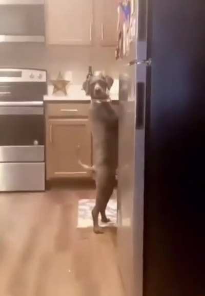 &lsquo;Oh snap! I&rsquo;m caught, just act normal!&rsquo;