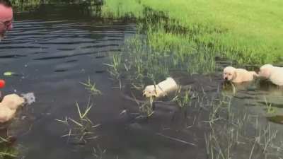 Swimming lesson