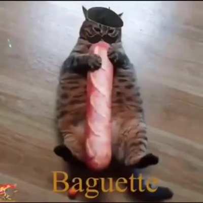 &eth;&yen;