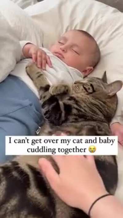 This is too cute, it&rsquo;s his baby now 😭❤️