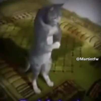 Haram!! haram!!