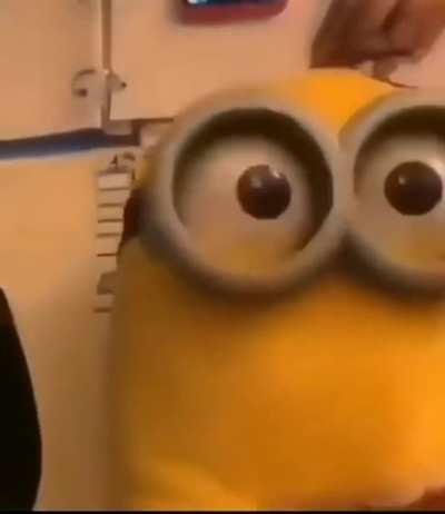 BeelcitosMemes - Video #9514