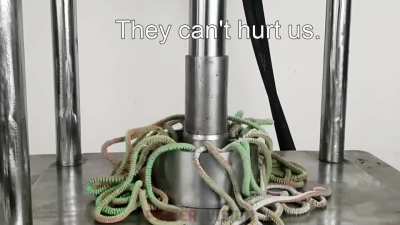 They can't hurt us.