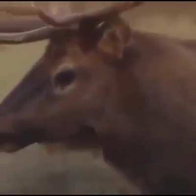 Hmm