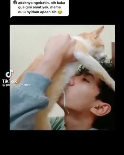 Drinking cat milk .... Do i even need to explain