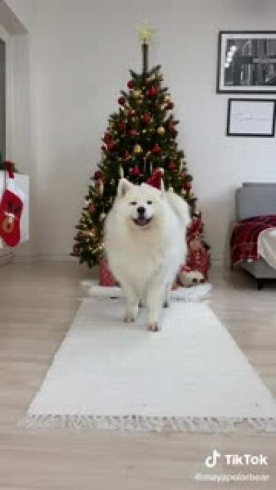 IT&rsquo;S CHRISTMAS WEEK!!!