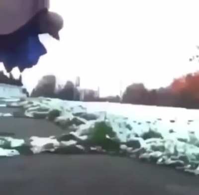 FLY BIRB FLY