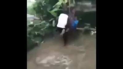 Pode lutador no gp?