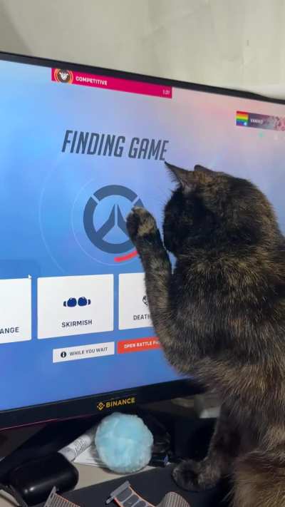 My cat enjoys playing during queue 🎾🐈&zwj;⬛