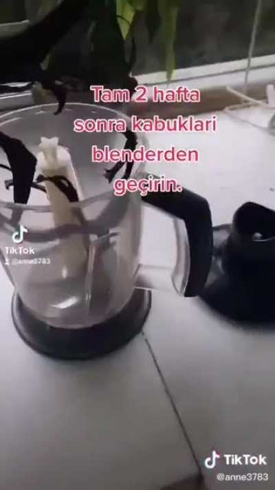 guzl yontem