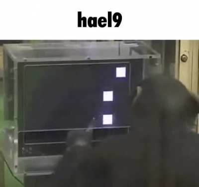 Hael9