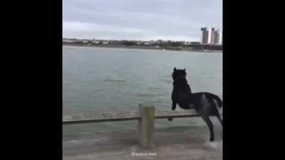 Meus amigos no quinto ano:porque tu n&atilde;o faz parkour? Eu fazendo parkour: