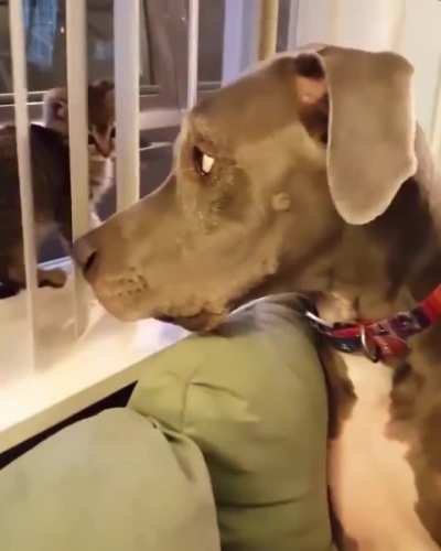 "IT TOUCHED ME"