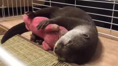 Hug your favorite toy before going to bed