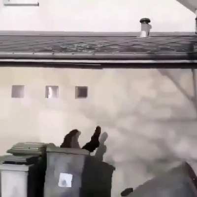 Wile E. Coyote gets canned