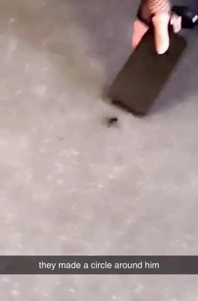 Itsy Bitsy Spider&hellip;