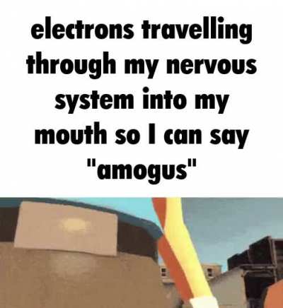 Sus