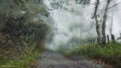The crystal forest