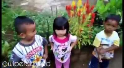 Teletabis asep