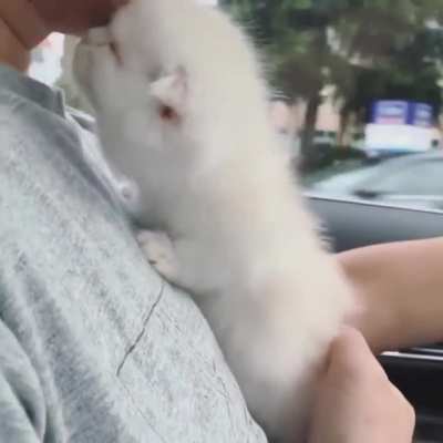 Watch till the end