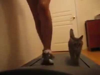 "I'll exercise too, human!"