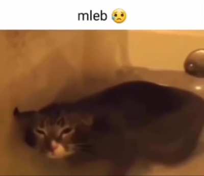 Submarule