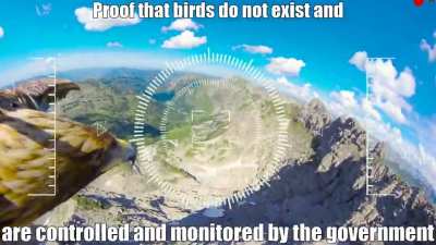 I KNEW IT😤😤😤😤😤😤😤🐦🐦🐦