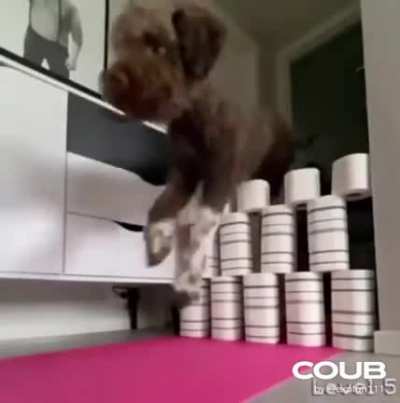 Собакен