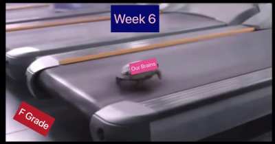 Am I the only one whose productivity and brain clock speed only peak during reading week?