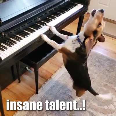 Insane talent