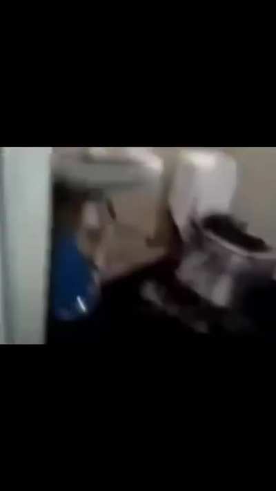 poop