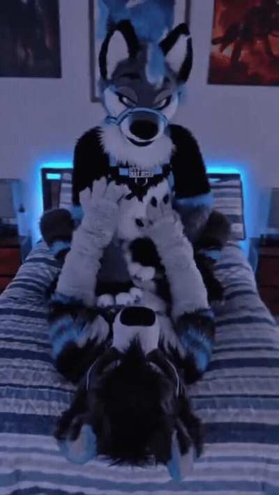 furry_irl